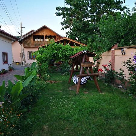 Vila Speranta Plescoi Exterior photo